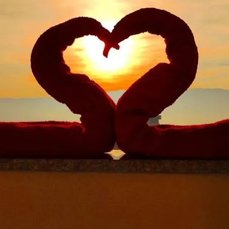 Apartman Ping Lukavica